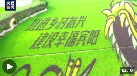 农村爆料标题大全最新图片 第2张 农村爆料标题大全最新图片 第2张