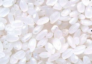 绿色大米爆料方法视频教程,轻松掌握视频爆料技巧 第3张 绿色大米爆料方法视频教程,轻松掌握视频爆料技巧 第3张