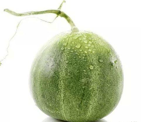 甜瓜人最新版本爆料,全新技能与剧情等你探索 第3张 甜瓜人最新版本爆料,全新技能与剧情等你探索 第3张